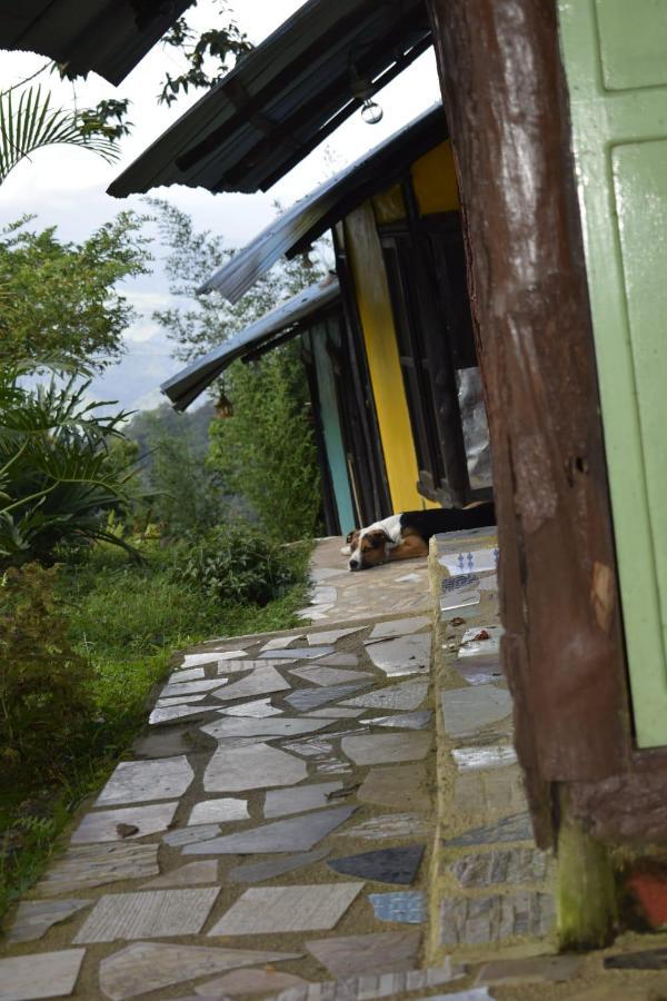 Posadamanduka Eco-Hostel Вилавиченцио Екстериор снимка