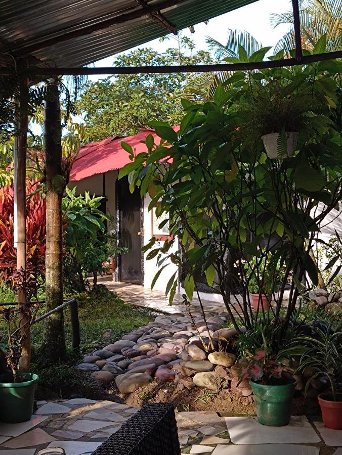 Posadamanduka Eco-Hostel Вилавиченцио Екстериор снимка